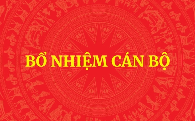 Bổ nhiệm Trợ lý Thủ tướng, Phó Thủ tướng Thường trực Chính phủ